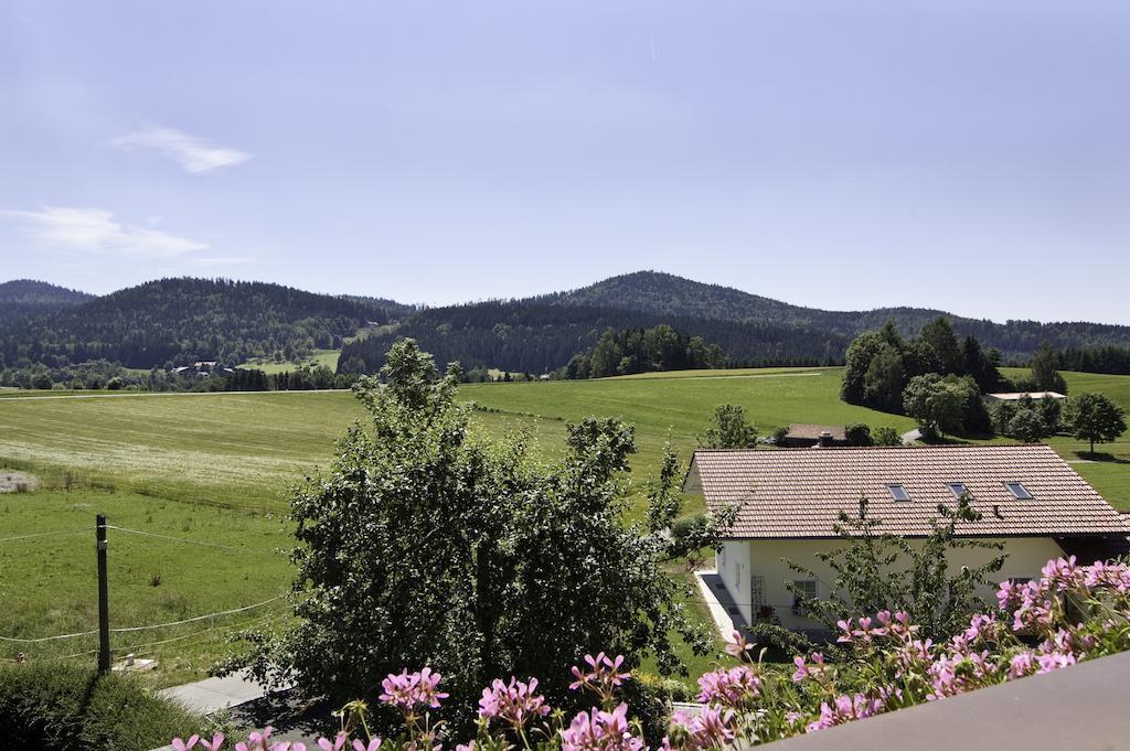 Hotel Haus Leutner à Bodenmais Extérieur photo